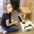 Building in Science