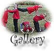 The Gallery