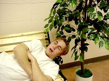 Zzzzzz..zzonkk!