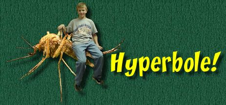 Hyperbole ... What is it?