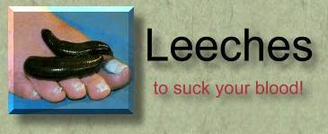 Leeches!!