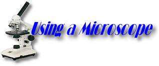 Using a Microscope