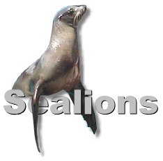 Sealion Title Picture